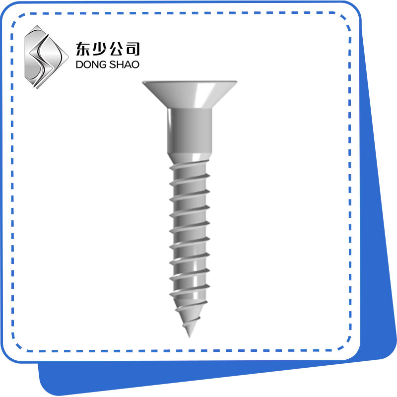 Cross Recessed Countersunk Head Injam Viti